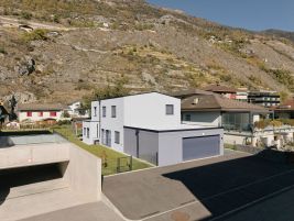 EFH in Steg
