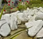 Garten und Umgebung